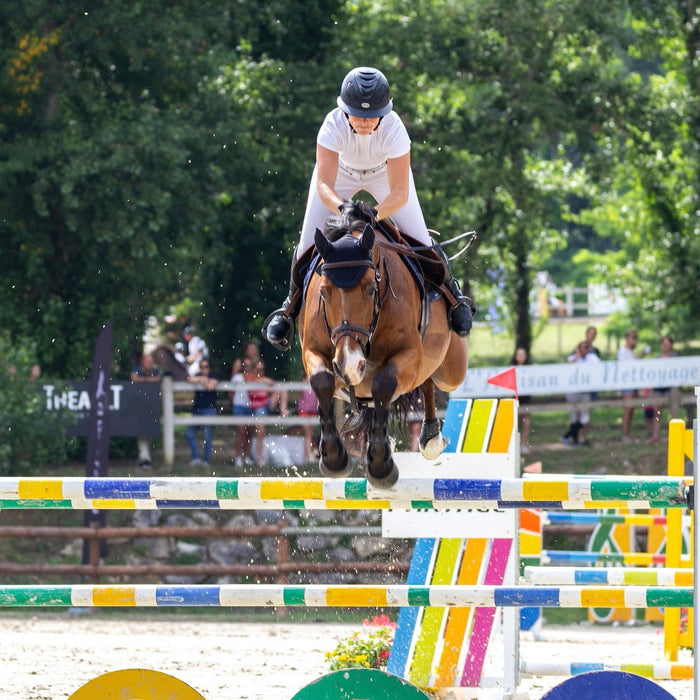 Show Jumping at a Glance