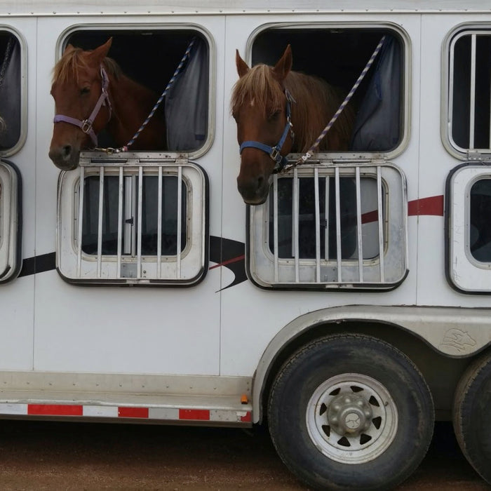 Packing for Your Horse at a Horse Show