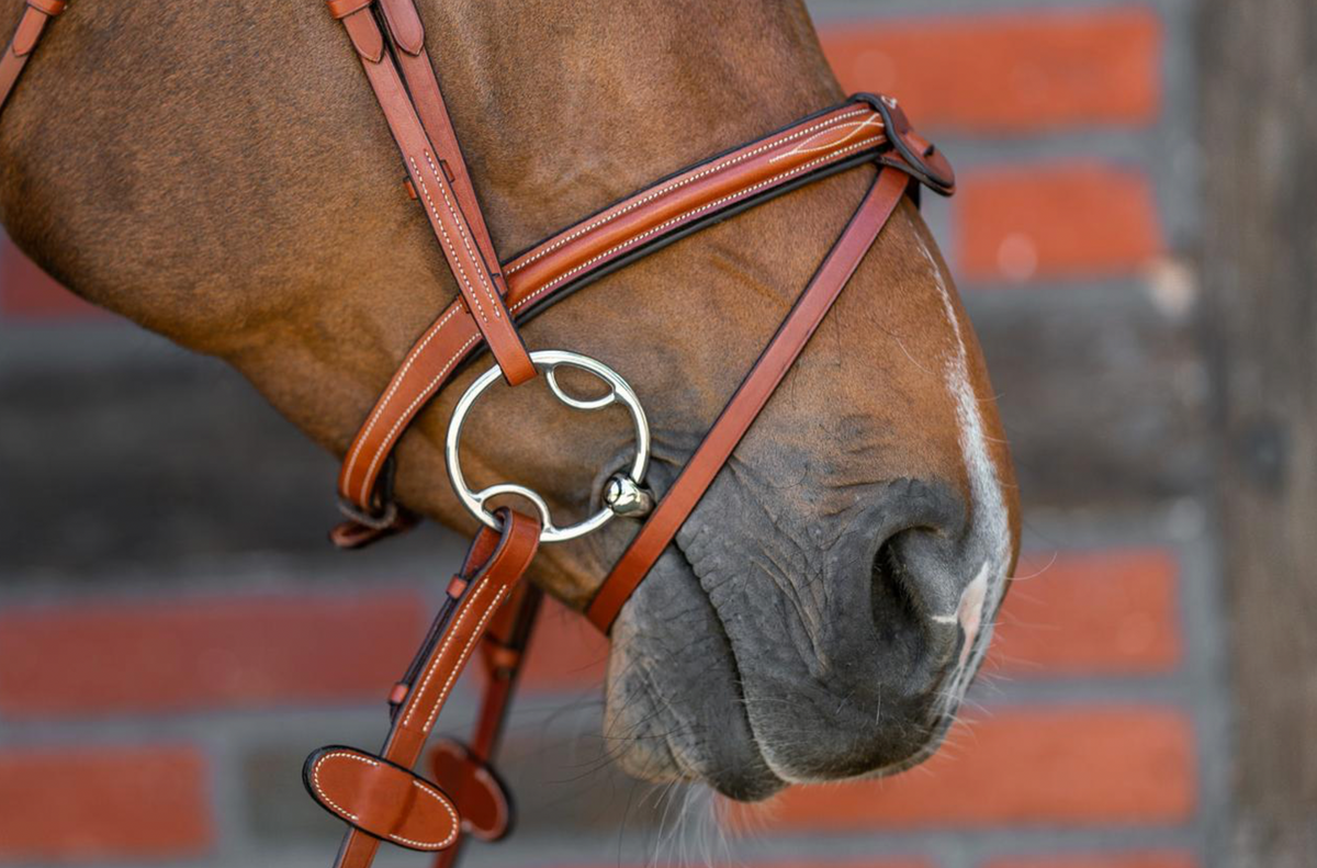 Top Picks for A HappyMouth Horse Equine Exchange Tack Shop