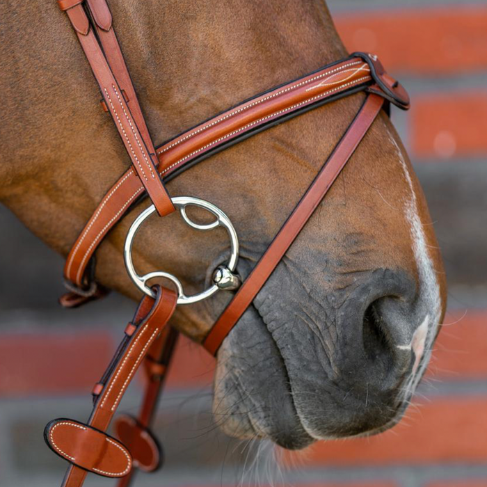 Top Picks for A Happy-Mouth Horse