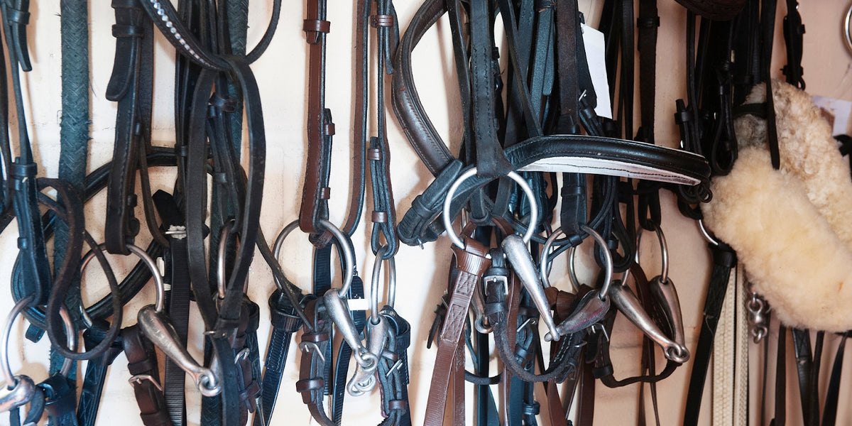 Spring Cleaning Cleaning Out the Tack Room — Equine Exchange Tack Shop