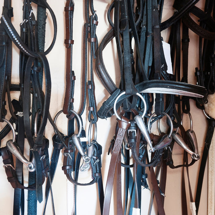 Spring Cleaning – Cleaning Out the Tack Room