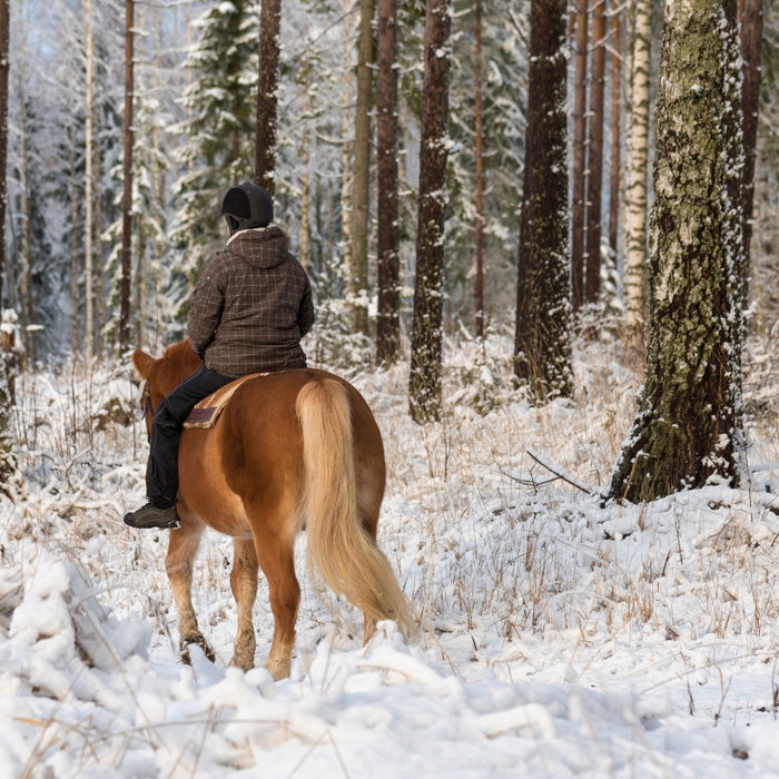 The Best Riding Coats to Keep You Comfortable This Winter