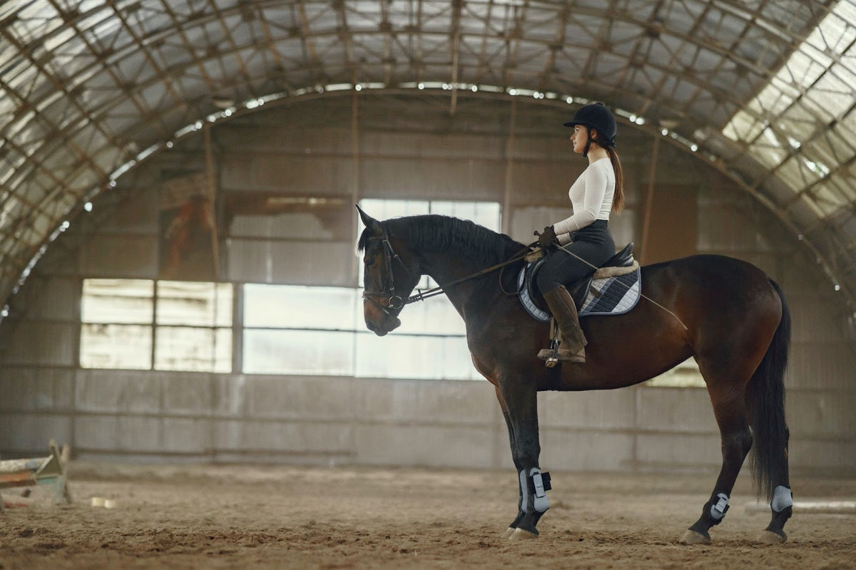 Eventing Riding Crops Riding Crops 101: Types, Uses, and Best Riding Crops