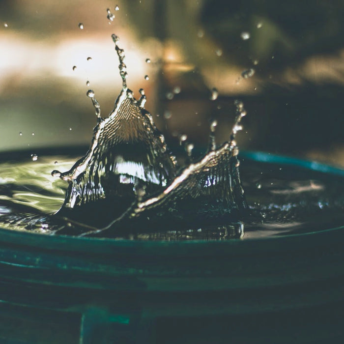 How to Keep Horse Water Buckets from Freezing