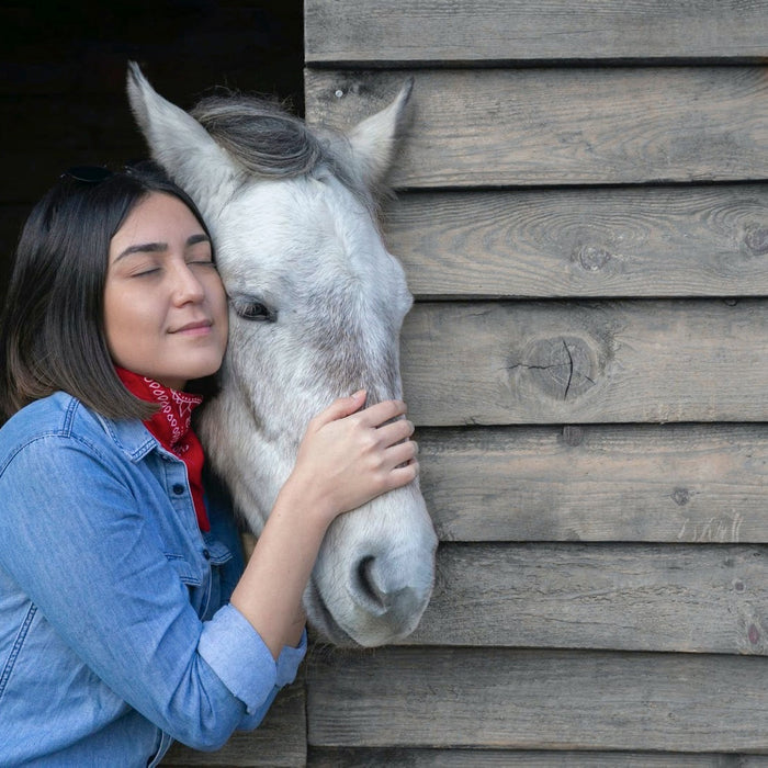 How to Build a Better Bond with Your Horse