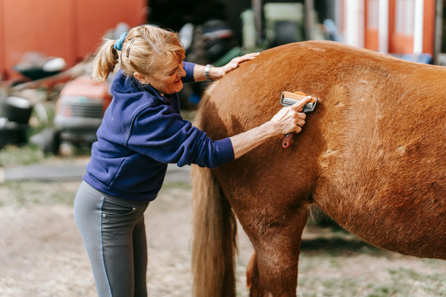 lady grooming horse