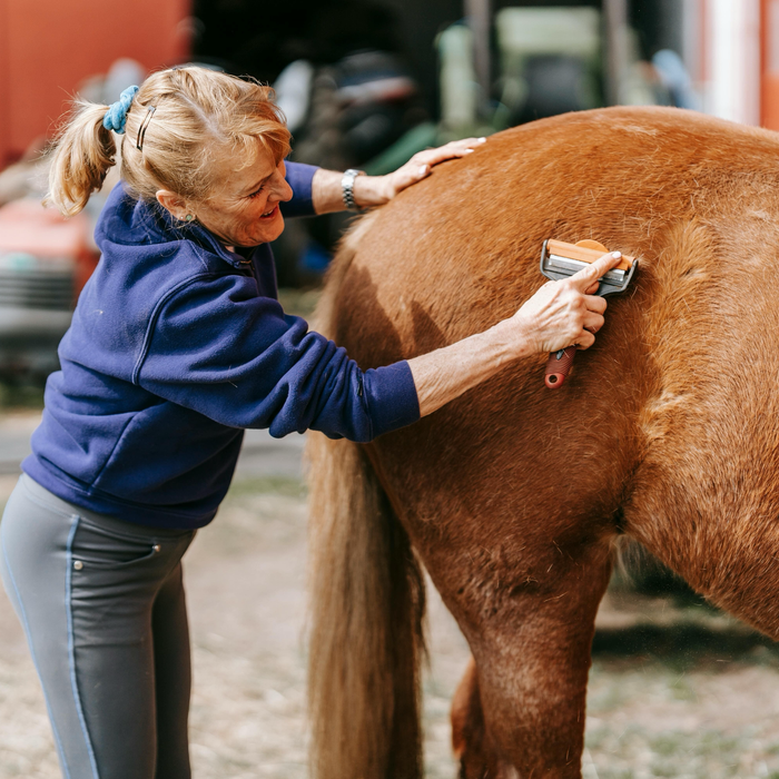 lady grooming horse