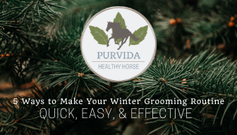 Purvida - 5 Ways to Make Your Winter Grooming Routine Quick, Easy, & Effective