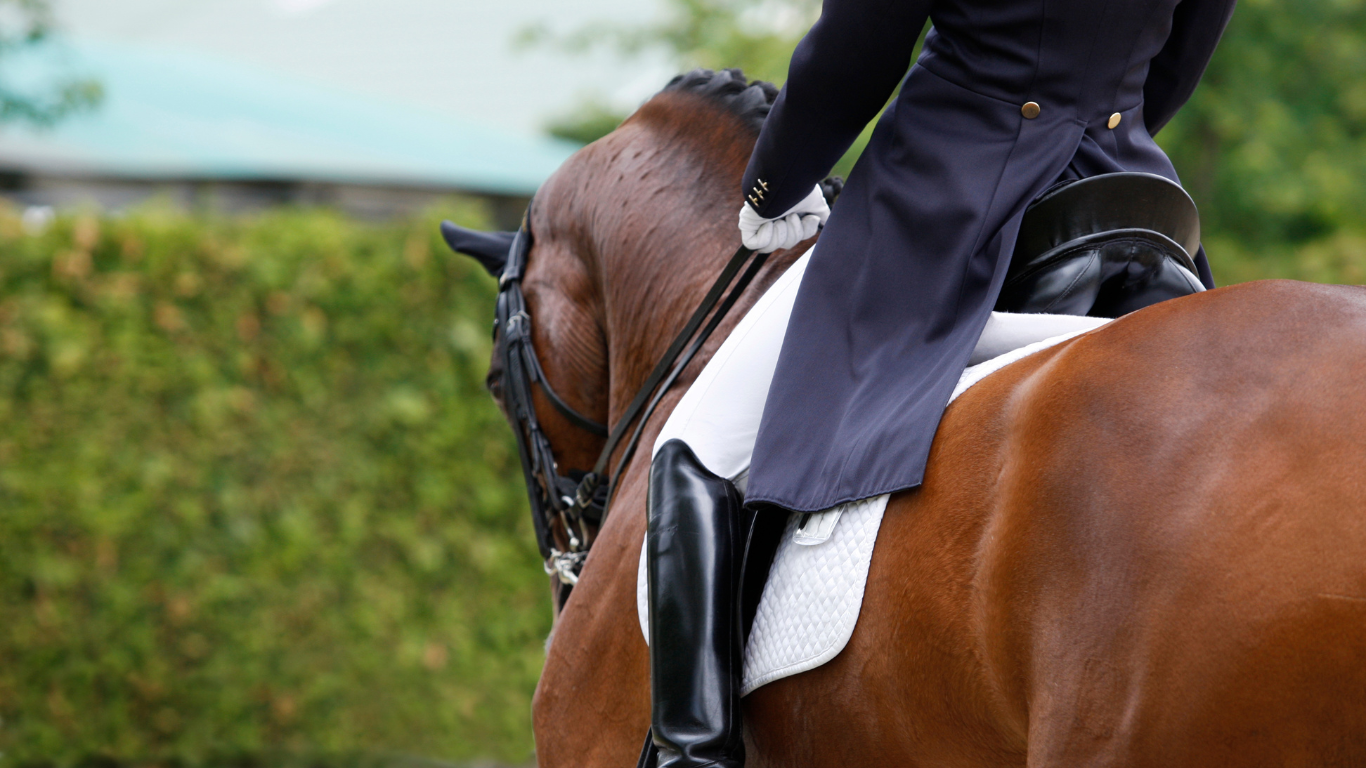 Show Prep Tips for Dressage