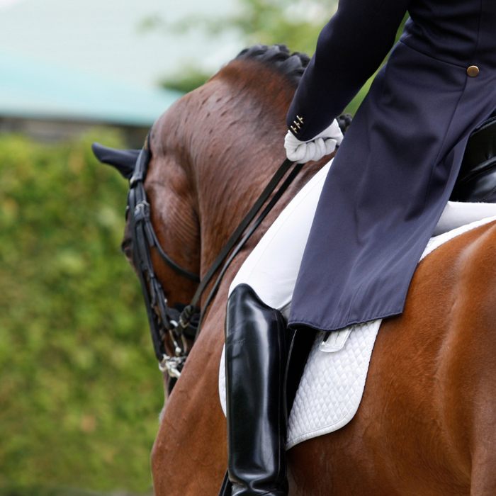 Show Prep Tips for Dressage