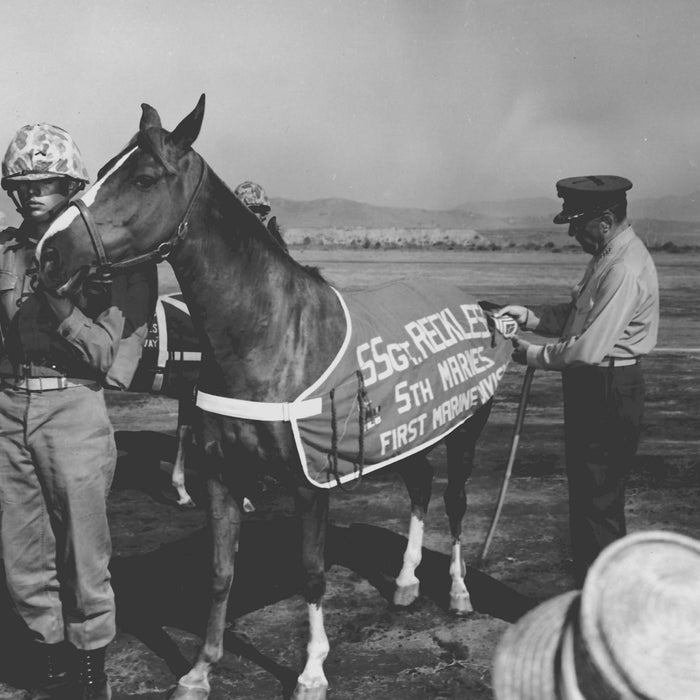 🌺 This Memorial Day, Remember Them Too