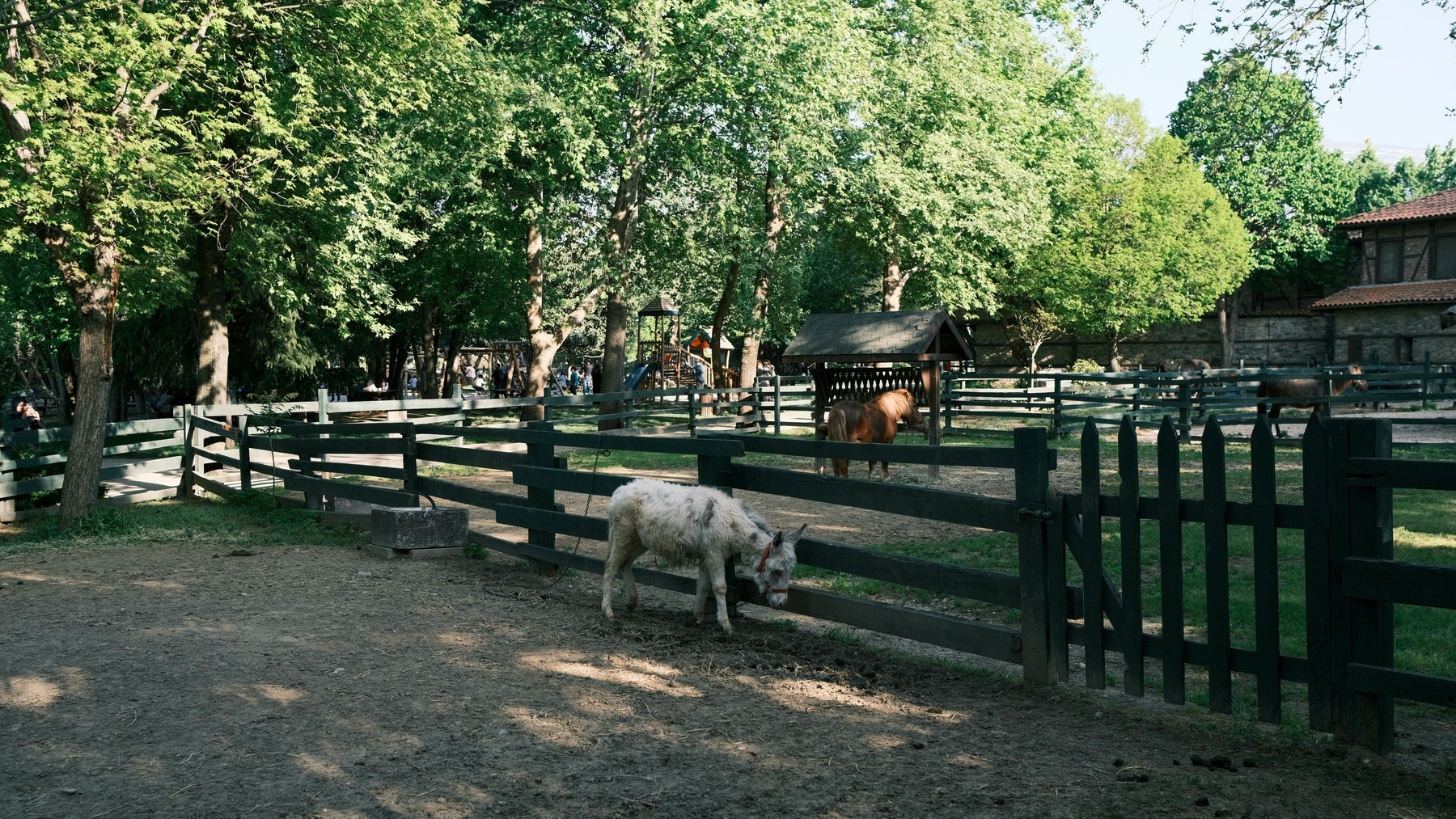 Monday Barn Chores & Fuzzy Horse Coats