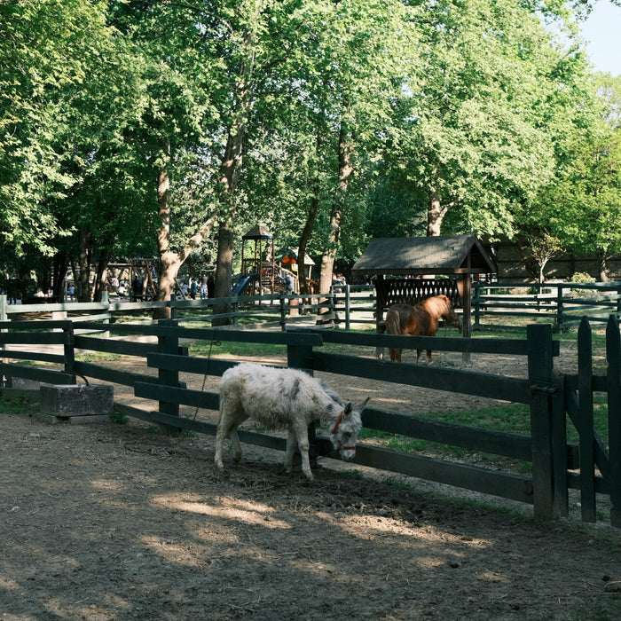 Monday Barn Chores & Fuzzy Horse Coats