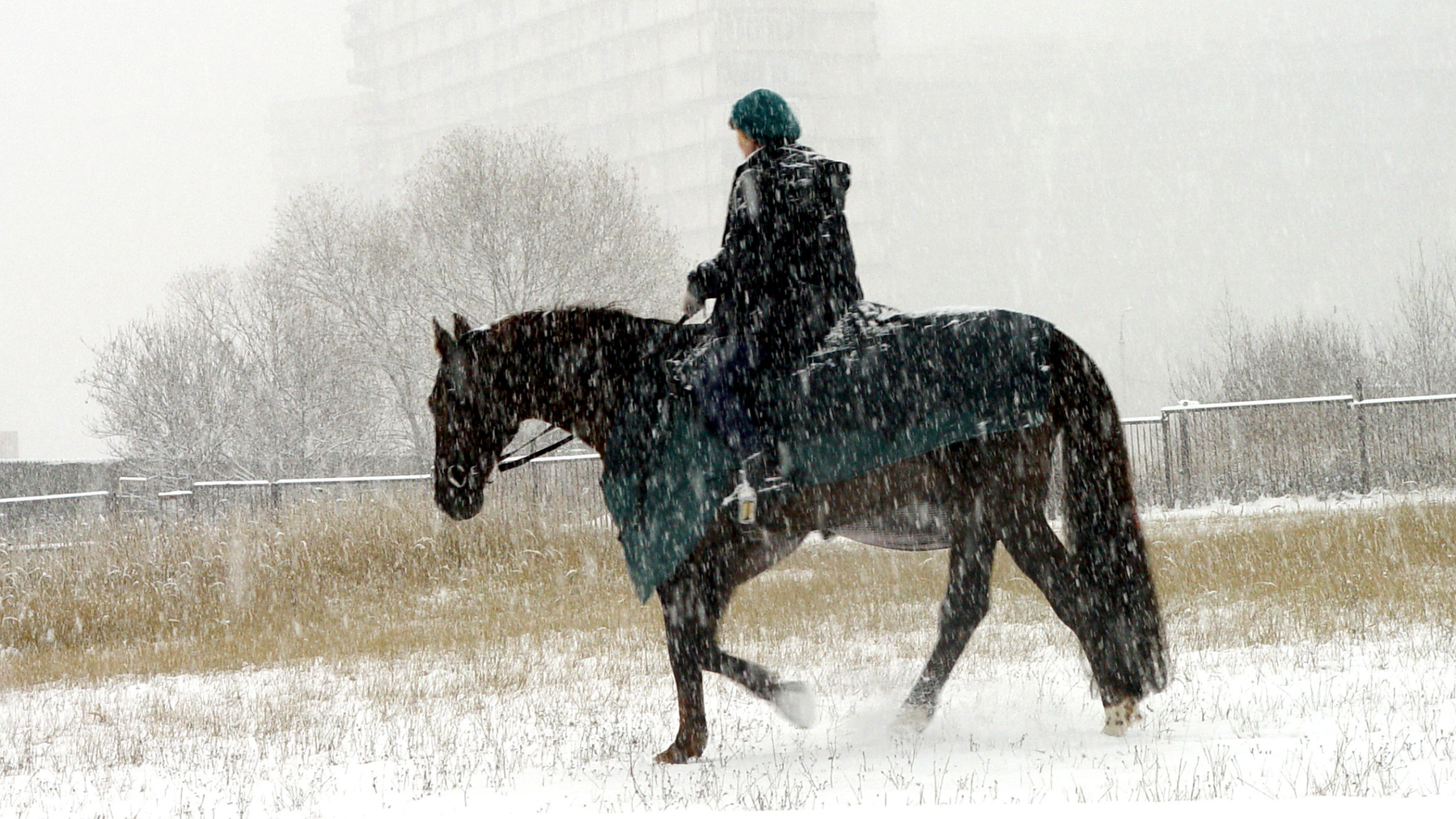 The Art of the "Barn Strip": A Rider's Guide to Winter Layering