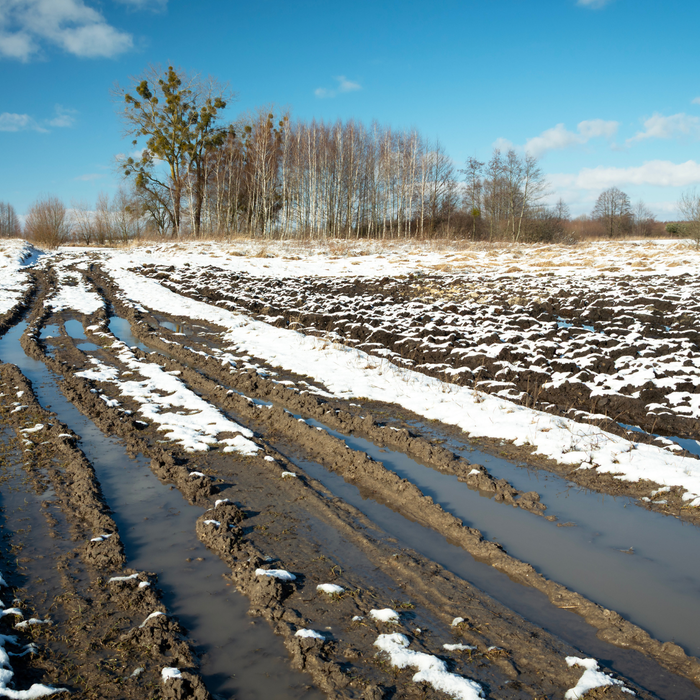 Mud Season Survival Guide: Protecting Your Horse Before Spring Shows Begin