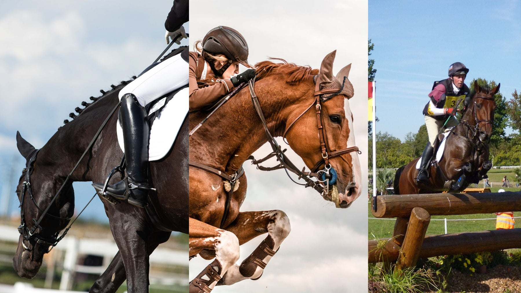 What's the Judge Writing Down? Equestrian Competition Scoring Explained