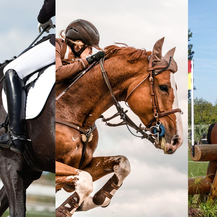 What's the Judge Writing Down? Equestrian Competition Scoring Explained