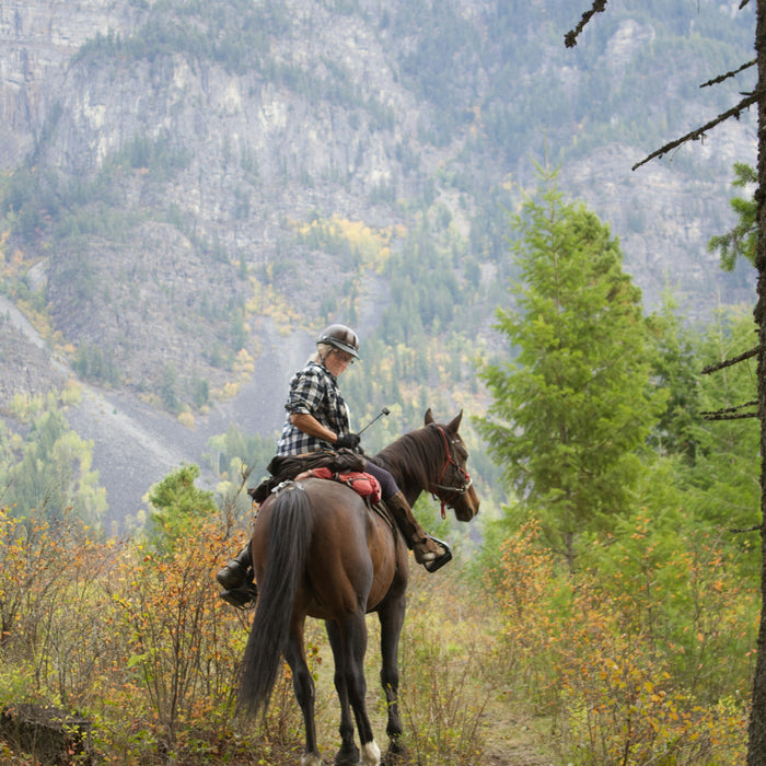 5 Best Trail Riding Spots In The Northeast