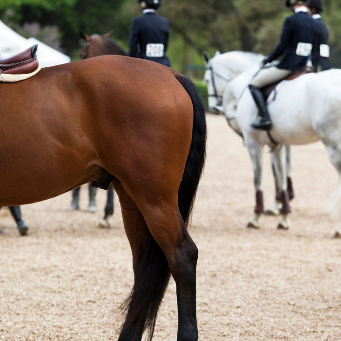 The Pre-Show Season Reset