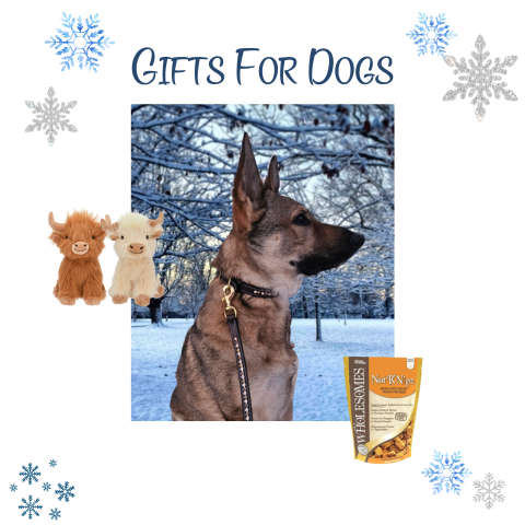 Gifts for Dogs