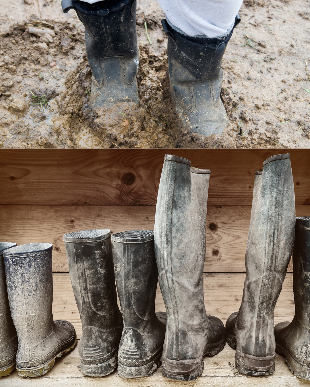 Mud Season Essentials - Equine Exchange Tack Shop