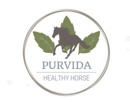 Purvida