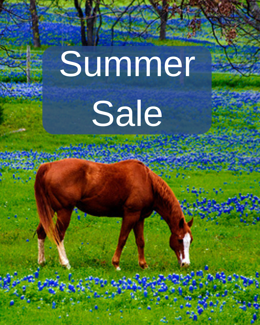 Summer Sale Early Access