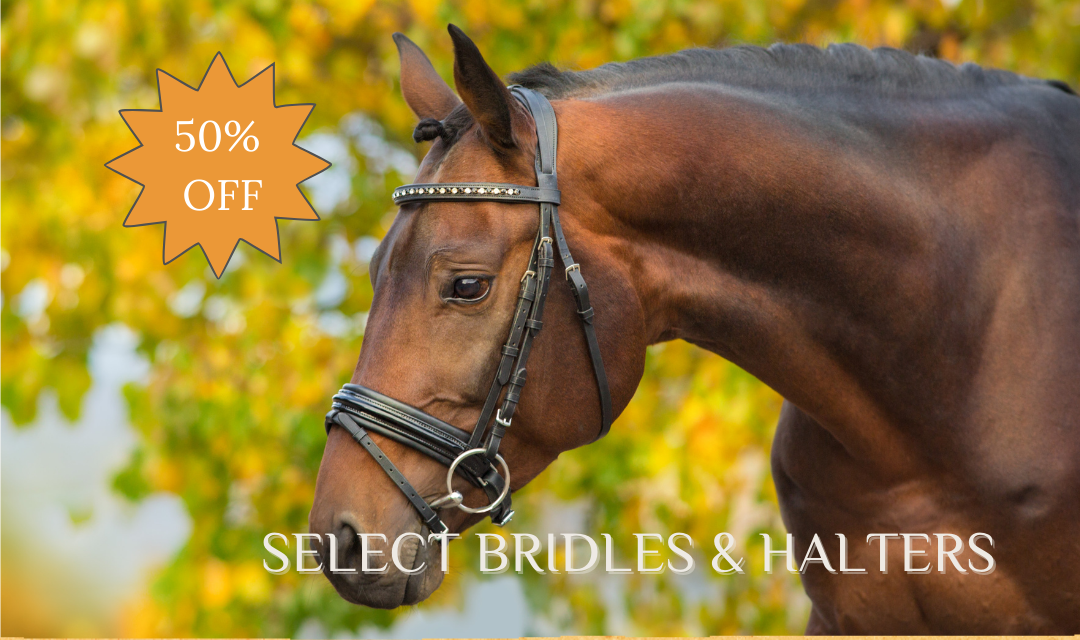 Bridle/Halter Sale