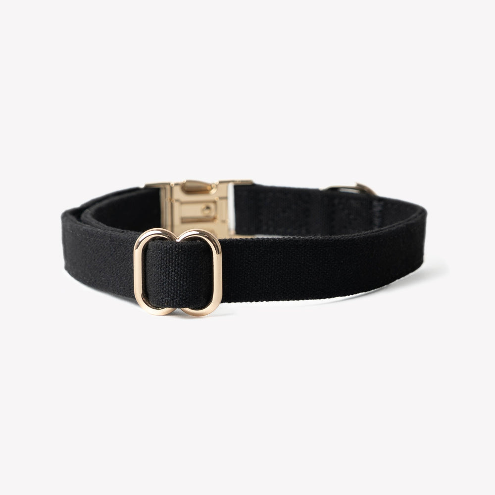 'Black' - Canvas Dog Collar - Equine Exchange Tack Shop
