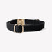 'Black' - Canvas Dog Collar - Equine Exchange Tack Shop