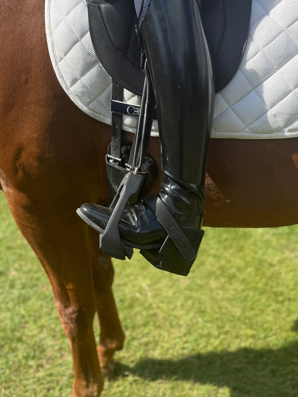 Equisole EXternal-Weighted Training Aid for Equestrians - Equine Exchange Tack Shop
