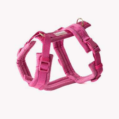 Magenta - Velvet Dog Harness - Equine Exchange Tack Shop