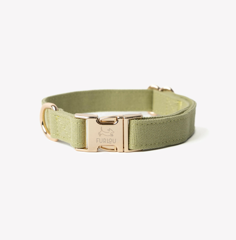 'Green' - Canvas Dog Collar - Equine Exchange Tack Shop