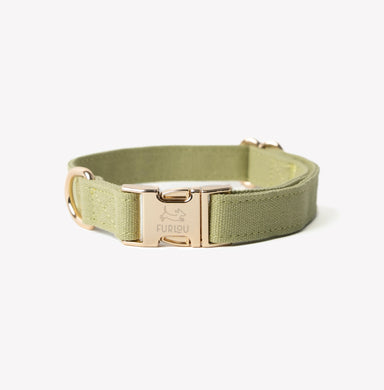 'Green' - Canvas Dog Collar - Equine Exchange Tack Shop