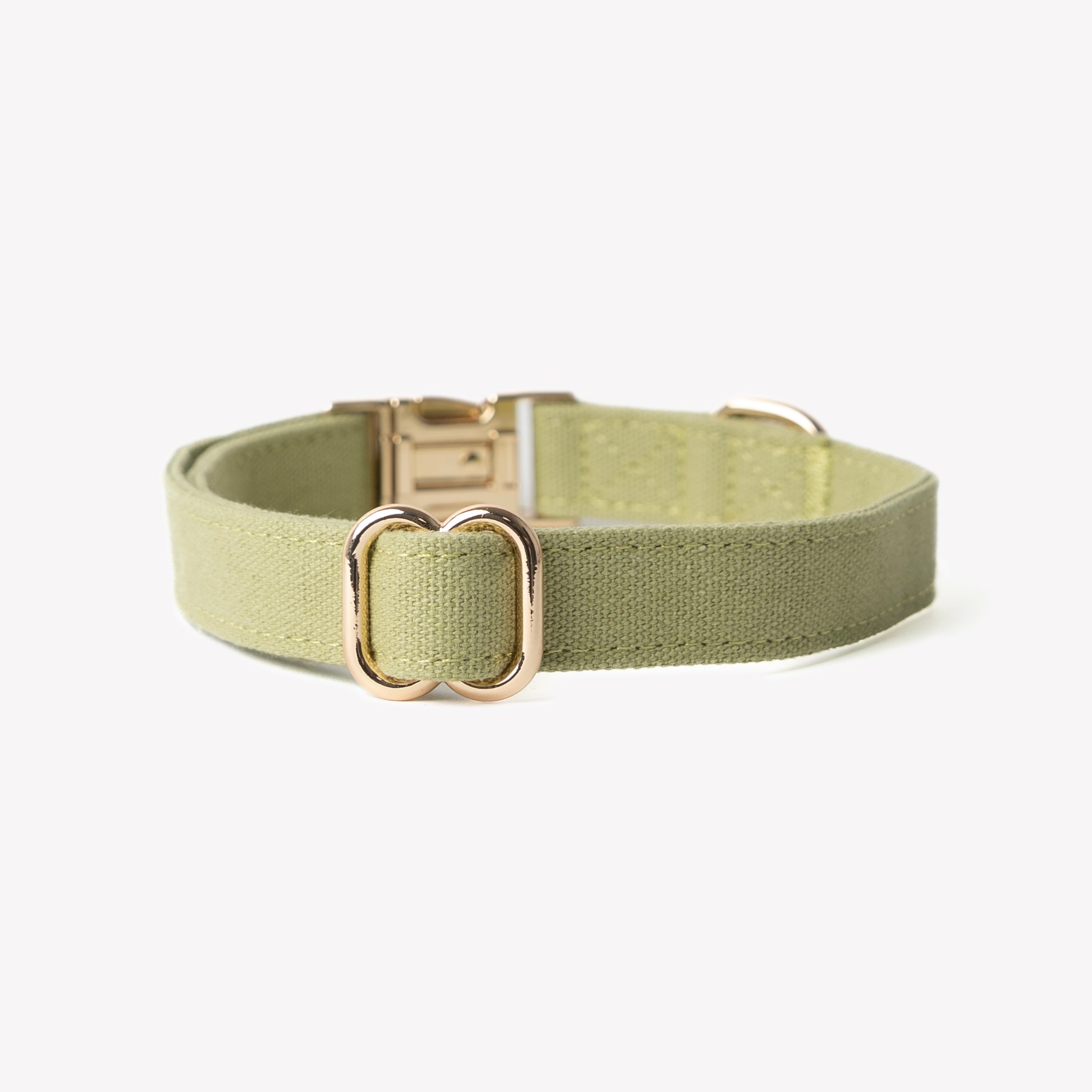 'Green' - Canvas Dog Collar - Equine Exchange Tack Shop