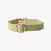 'Green' - Canvas Dog Collar - Equine Exchange Tack Shop