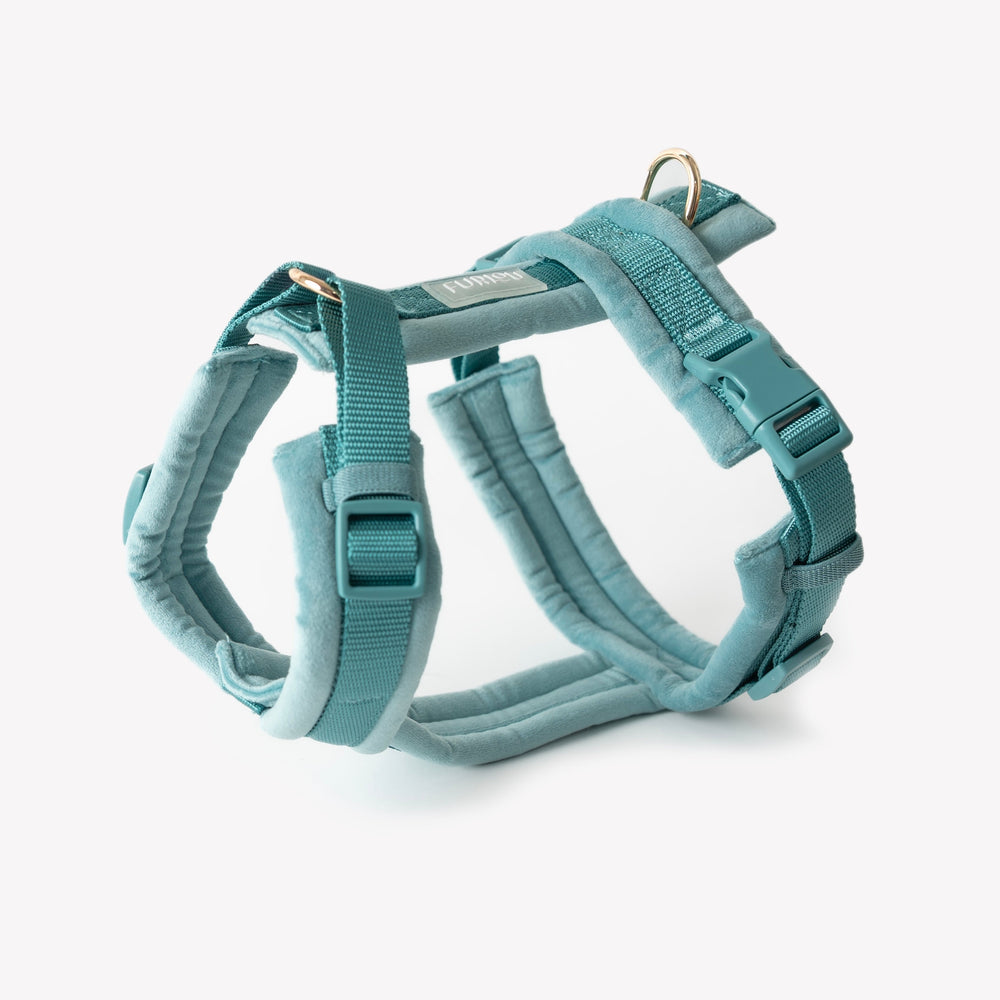 Blue - Velvet Dog Harness - Equine Exchange Tack Shop