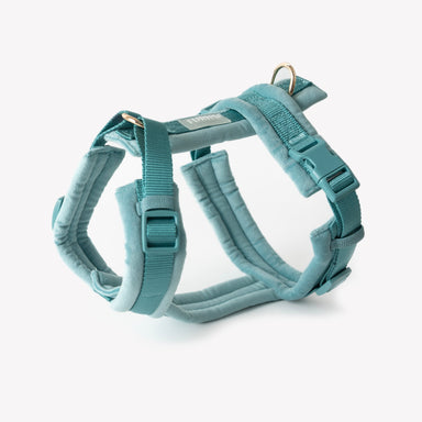 Blue - Velvet Dog Harness - Equine Exchange Tack Shop
