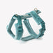 Blue - Velvet Dog Harness - Equine Exchange Tack Shop
