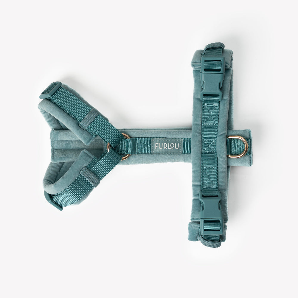 Blue - Velvet Dog Harness - Equine Exchange Tack Shop