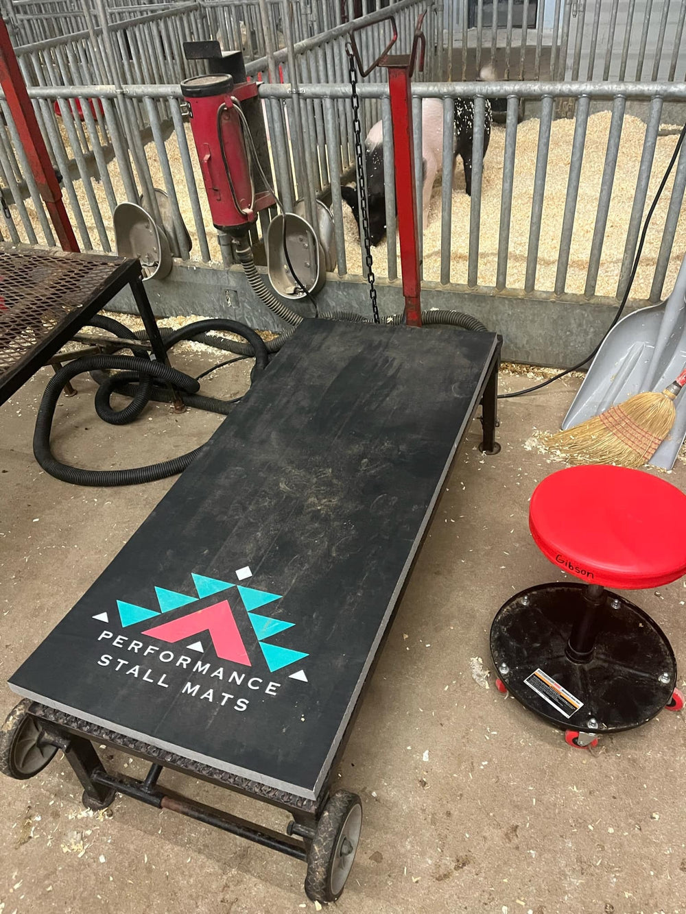 Livestock Fitting Stand Mat 51" x 23" - Equine Exchange Tack Shop