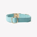 'Blue' - Canvas Dog Collar - Equine Exchange Tack Shop