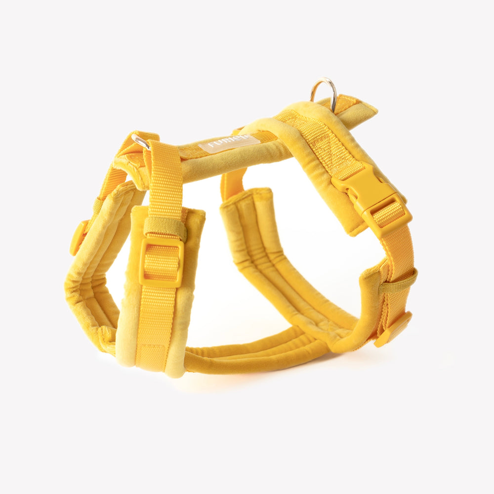Yellow - Velvet Dog Harness - Equine Exchange Tack Shop