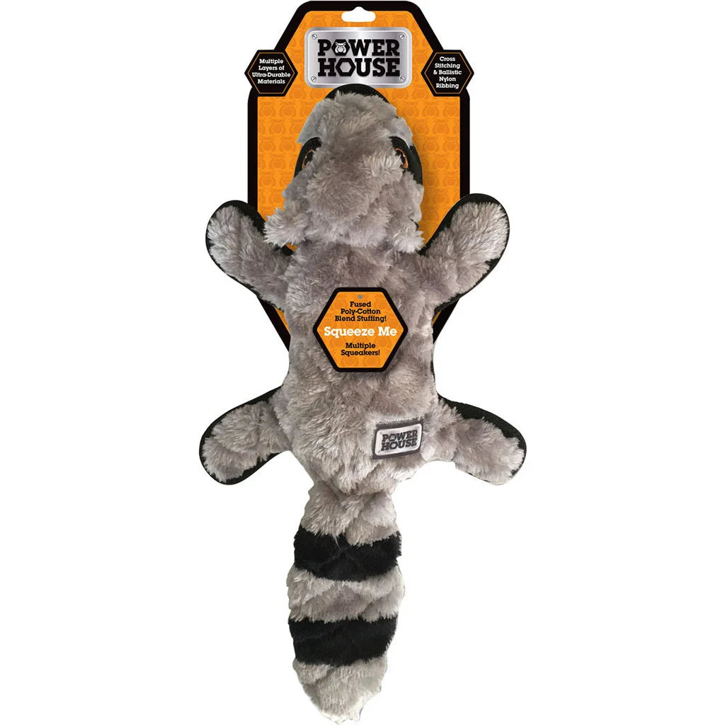 POWER HOUSE PLUSH DOG TOYS RACCON
