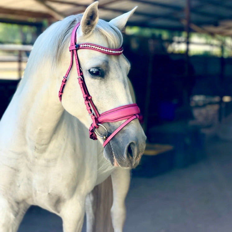 The Barbie Pink Leather Snaffle Bridle - Equine Exchange Tack Shop