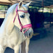 The Barbie Pink Leather Snaffle Bridle - Equine Exchange Tack Shop