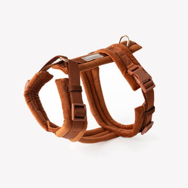 Clay - Velvet Dog Harness - Equine Exchange Tack Shop