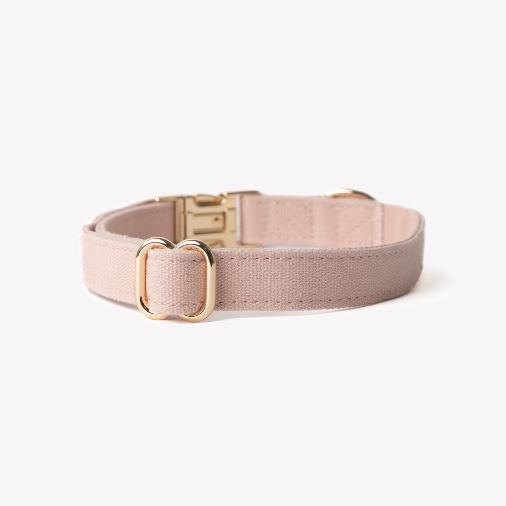 'Powder Rose' - Canvas Dog Collar - Equine Exchange Tack Shop
