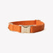 'Terracotta' - Canvas Dog Collar - Equine Exchange Tack Shop